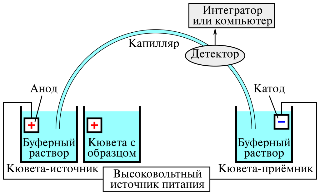 Схема капиллярного электрофореза