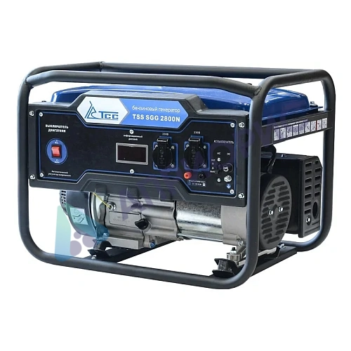 Бензиновый генератор TSS SGG 2800N