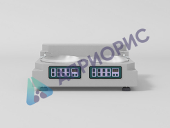 МШП-В шлифовально-полировальная машина