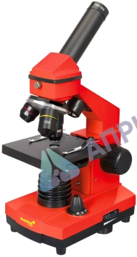 Микроскоп Levenhuk Rainbow 2L PLUS Orange (Апельсин)