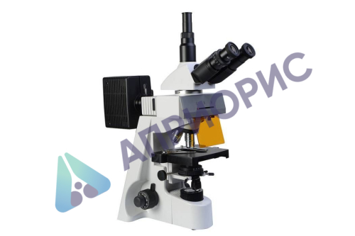 Микроскоп Микромед-3 ЛЮМ (тринокулярный, люминесцентный)
