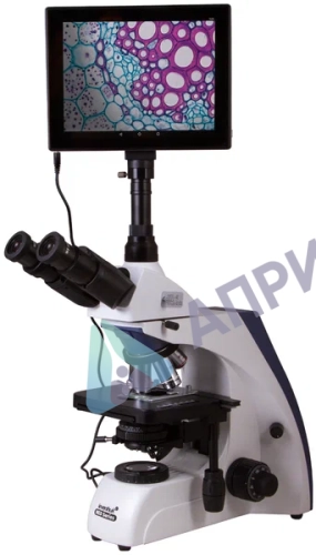 Цифровой микроскоп Levenhuk MED D35T LCD
