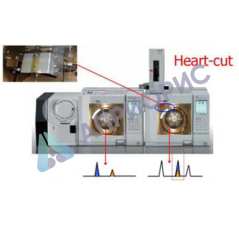 Многомерная газохроматографическая система MDGC/GCMS-2010