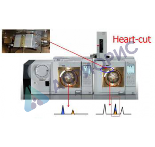 Многомерная газохроматографическая система MDGC/GCMS-2010