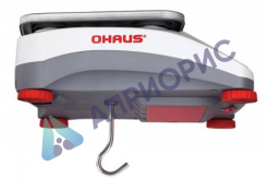 Поверка весов технических V71P30T