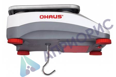 Поверка весов технических V71P30T