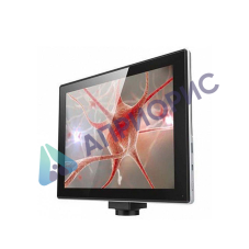 Видеоокуляр-монитор Scopepad LX97 (5 Мп, система визуализации)