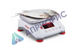 Поверка весов технических V41XWE15T