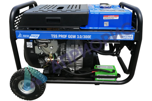 Сварочный генератор TSS PROF GGW 3.0/300E