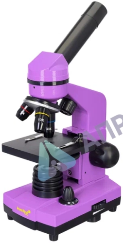 Микроскоп Levenhuk Rainbow 2L Amethyst (Аметист)