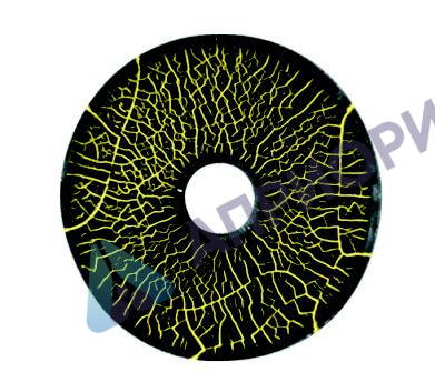 Образец N1 (MTU №3) Magnaflux