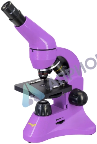 Микроскоп Levenhuk Rainbow 50L Amethyst (Аметист)