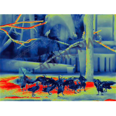 Тепловизионный бинокль Guide TN430