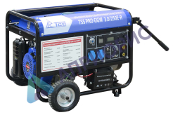 Сварочный генератор TSS PRO GGW 3.0/250E-R