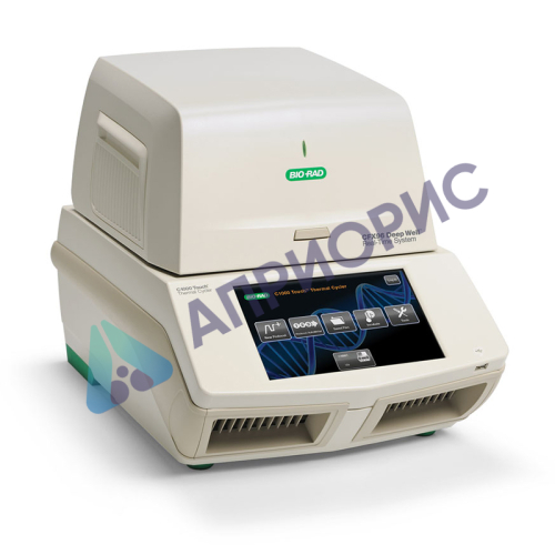 Поверка измерительных модулей CFX96 в составе термоциклеров для амплификации нуклеиновых кислот с термоциклером C1000 Touch