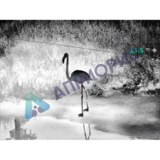 Тепловизионный бинокль Guide TN430