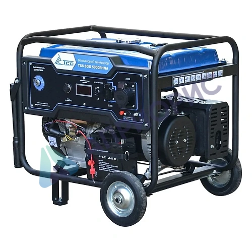 Бензиновый генератор TSS SGG 5000EHNA
