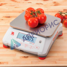 Поверка весов технических V71P30T