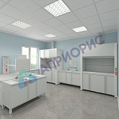 ШКАФ ВЫТЯЖНОЙ ХИМИЧЕСКИЙ