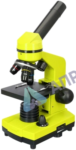 Микроскоп Levenhuk Rainbow 2L Lime (Лайм)