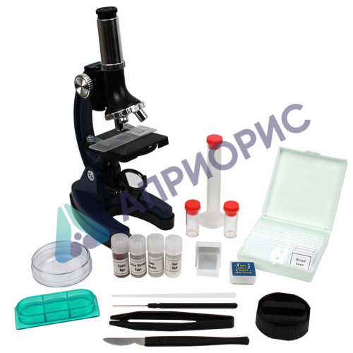 Микроскоп учебный Дошкольник ШМ-2 (монокулярный, 100х-900х, в кейсе)