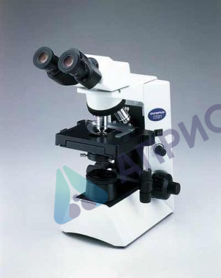 Olympus СХ21(бино, 1000х, план-ахр)/ СХ 31