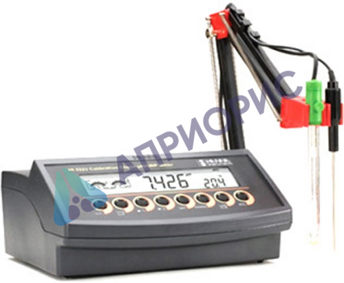 Мультипараметровый измеритель HANNA HI 2221-02