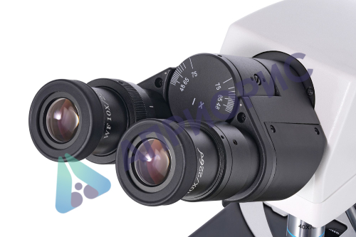 Микроскоп Levenhuk MED 40B