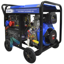 Сварочный генератор TSS DGW 7.0/250ED-R3