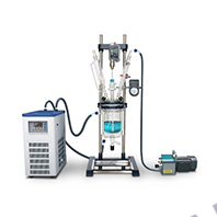 Компактные лабораторные боросиликатные реакторы (1-3 литра) GR-3L