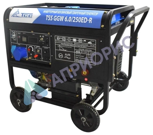 Сварочный генератор TSS GGW 6.0/250ED-R