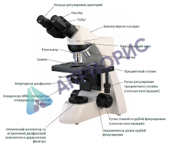 Исследовательский биологический микроскоп Optima® H-902 Н