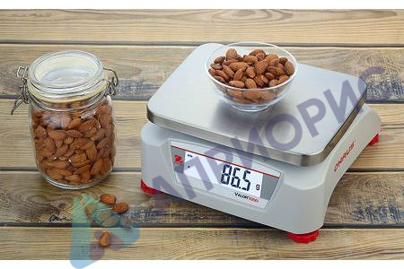 Поверка весов технических V12P15