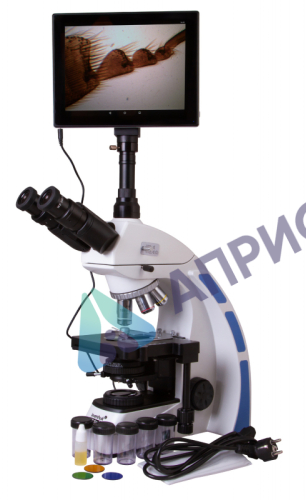 Цифровой микроскоп Levenhuk MED D40T LCD