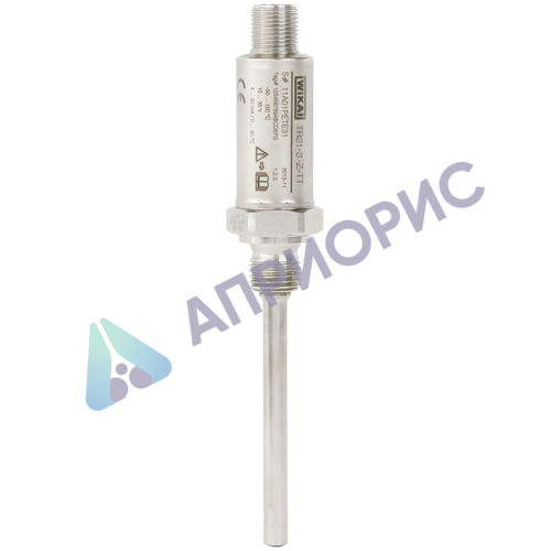 Поверка термопреобразователя Модель TR31 (термометра сопротивления)