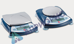 Поверка электронных весов Scout Pro