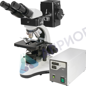 Микроскоп MicroOptix MX-300 F c оптикой ICO Infinitive (бинокулярный, флуоресцентный)